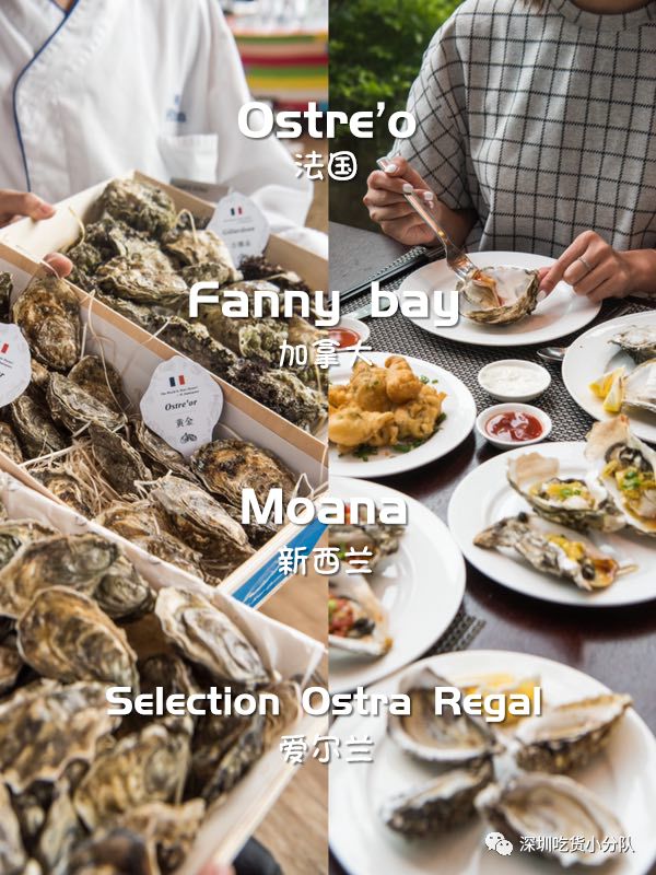 石家庄希尔顿生蚝,增城希尔顿逸林酒店生蚝刺身