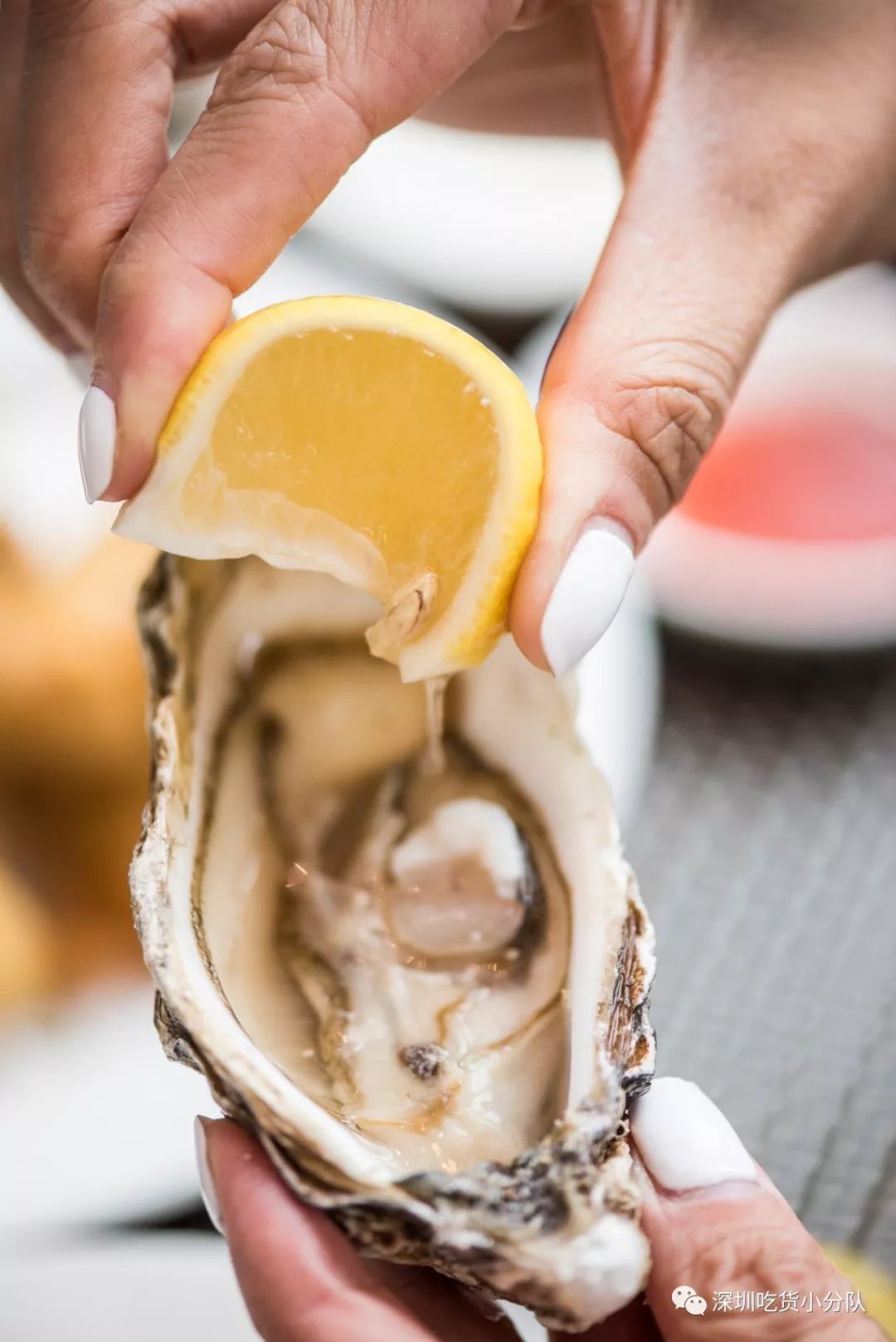 石家庄希尔顿生蚝,增城希尔顿逸林酒店生蚝刺身