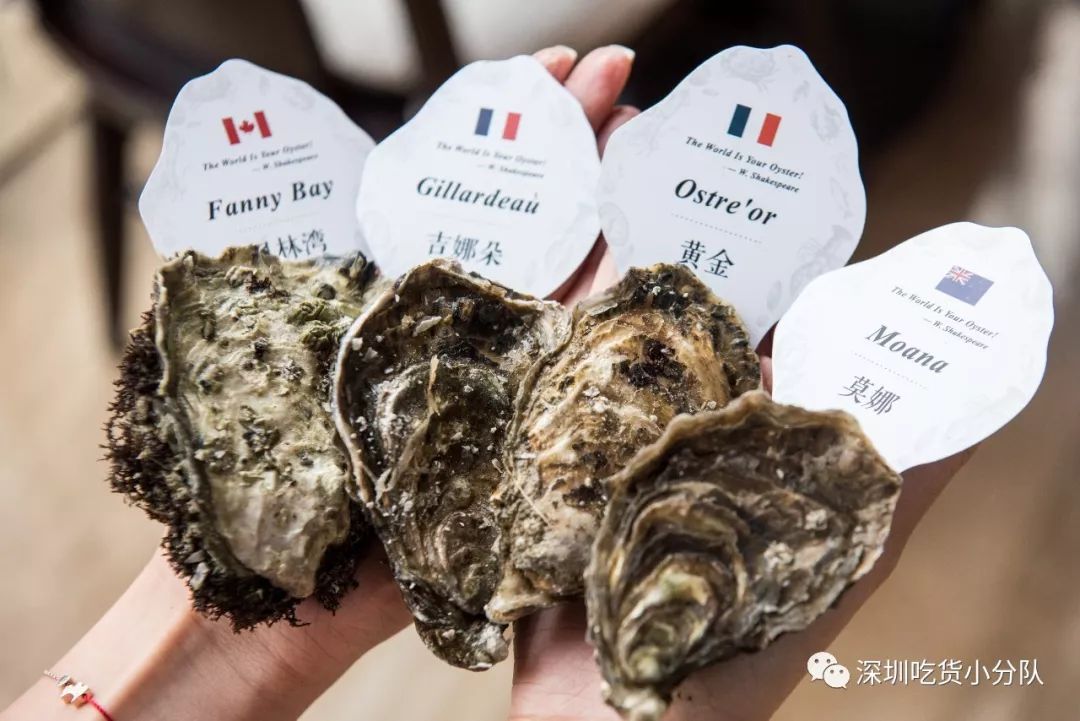 石家庄希尔顿生蚝,增城希尔顿逸林酒店生蚝刺身