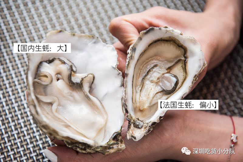 石家庄希尔顿生蚝,增城希尔顿逸林酒店生蚝刺身