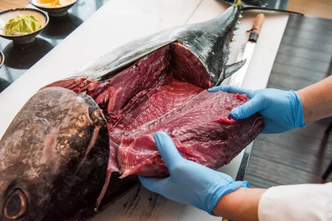 石家庄希尔顿生蚝,增城希尔顿逸林酒店生蚝刺身