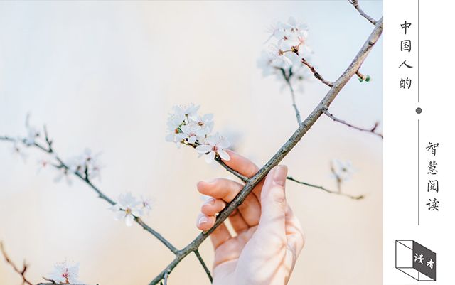 李白的朋友圈里有谁,李白的朋友圈是什么样子的