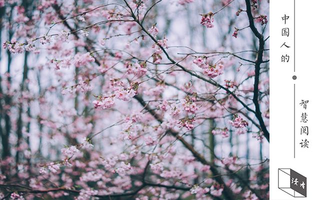 李白的朋友圈里有谁,李白的朋友圈是什么样子的