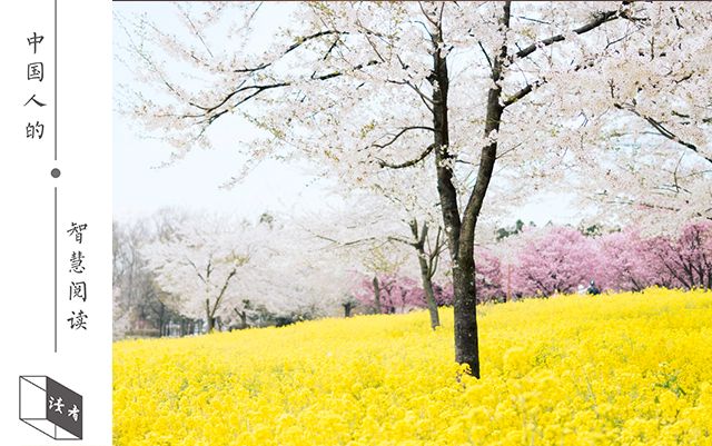 李白的朋友圈里有谁,李白的朋友圈是什么样子的