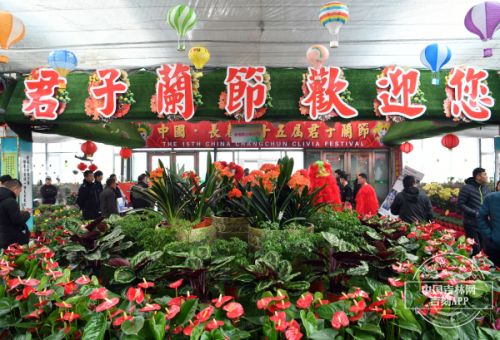 第十四届长春君子兰节,第十七届长春君子兰节地址