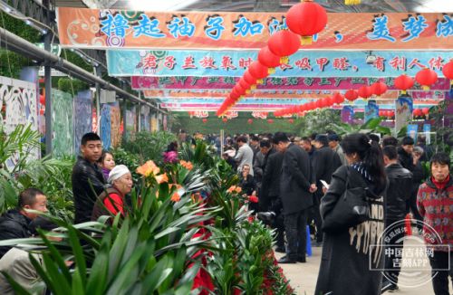 第十四届长春君子兰节,第十七届长春君子兰节地址