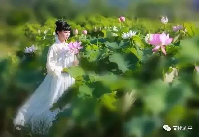 【美文欣赏】武平~我想给你写封信