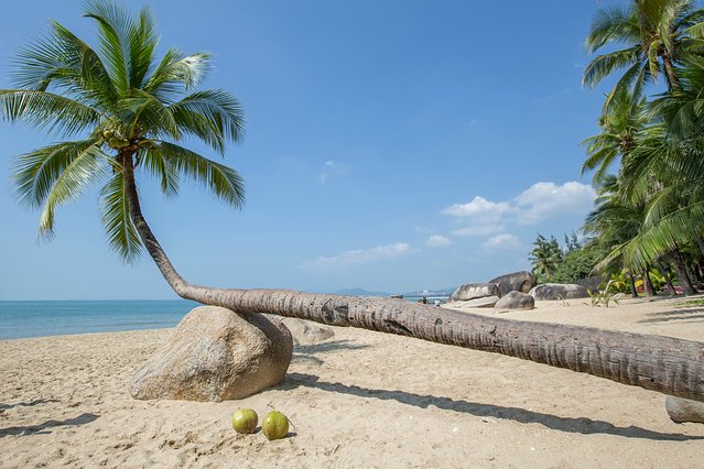 三亚亚龙湾附近美食攻略,三亚陵水美食攻略