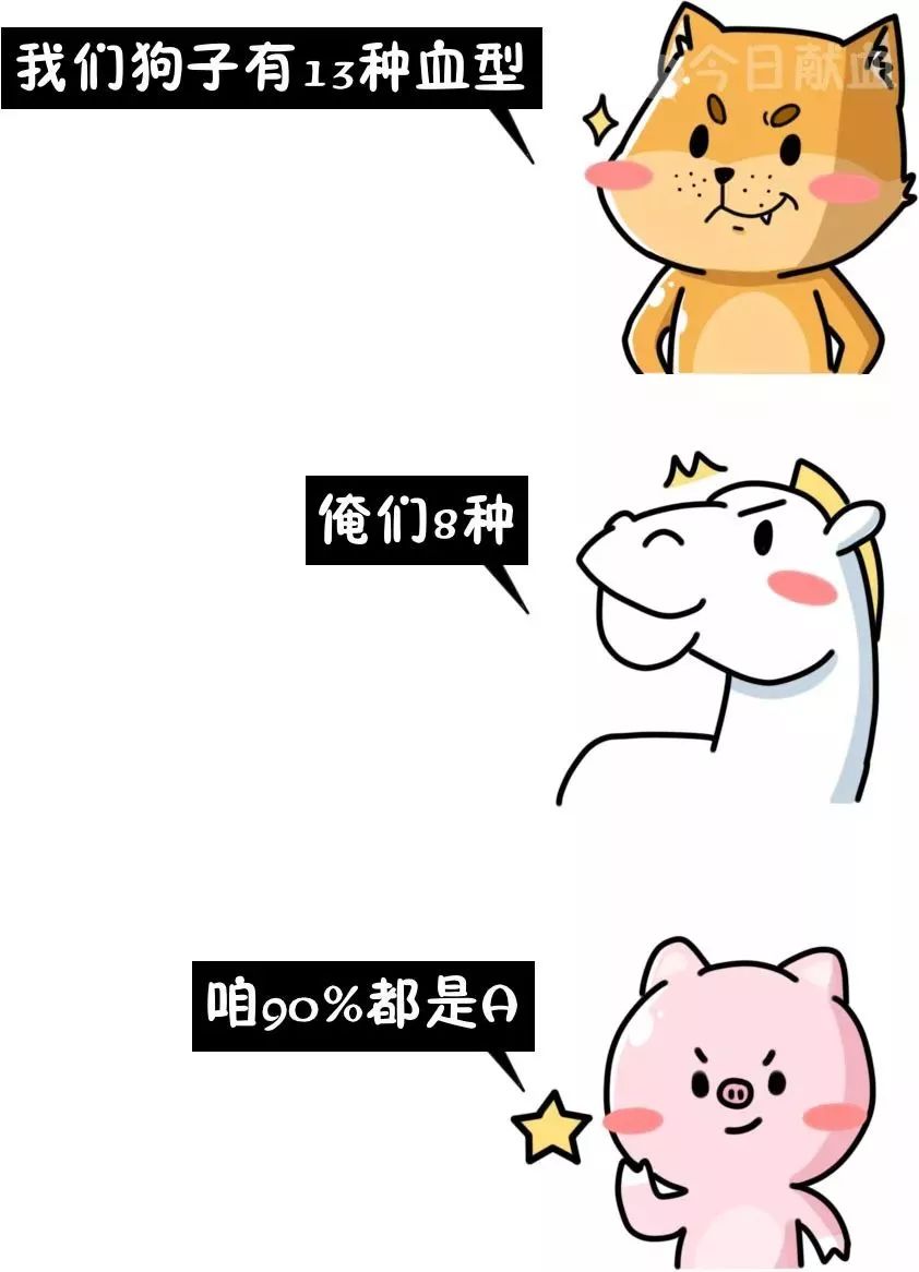 炸了，血型居然有100000000多种……