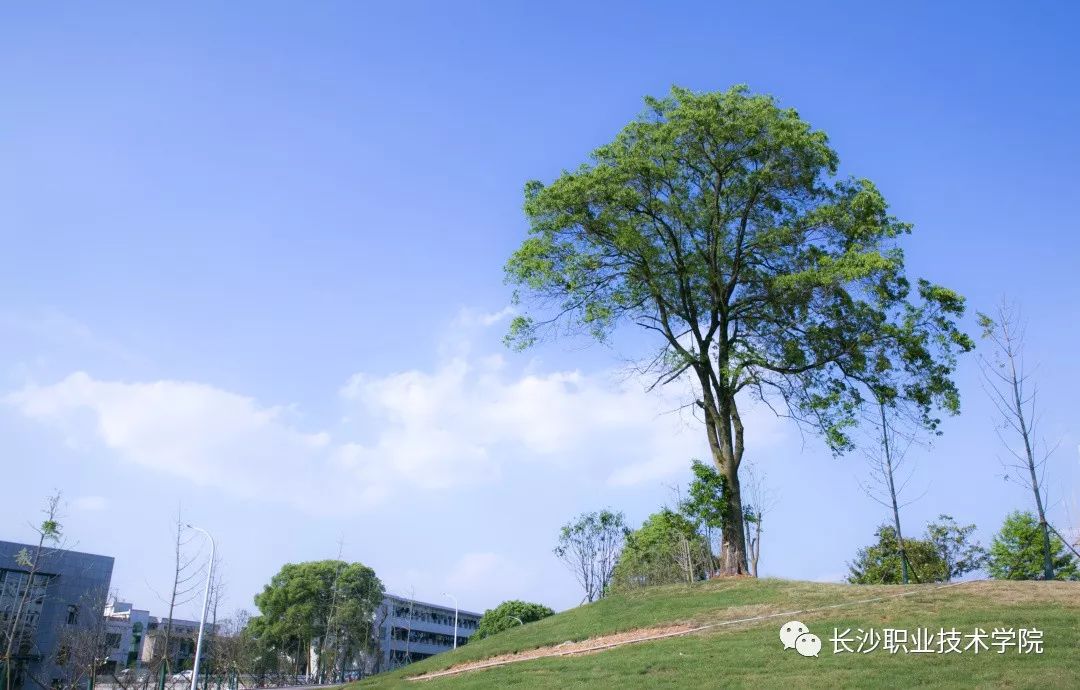 【长职热点】我们在长职机汽分院等你！