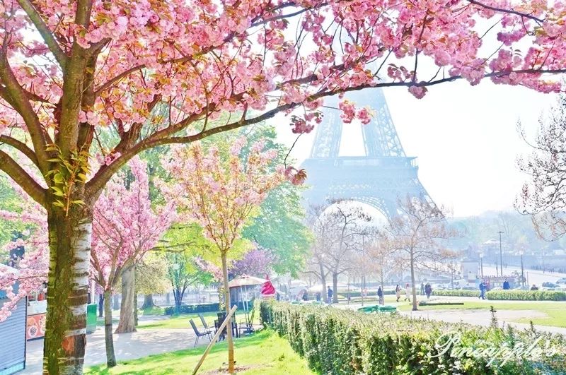 免费送你美容美甲按摩瑜伽……别拦我，你们拦不住啊！