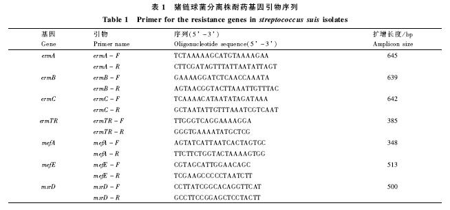 猪链球菌病研究过程,有关微生物抗药性最新论文