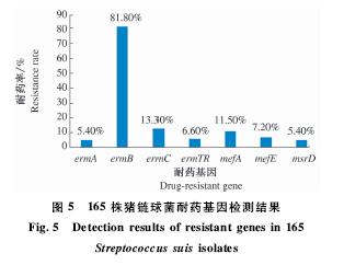 猪链球菌病研究过程,有关微生物抗药性最新论文