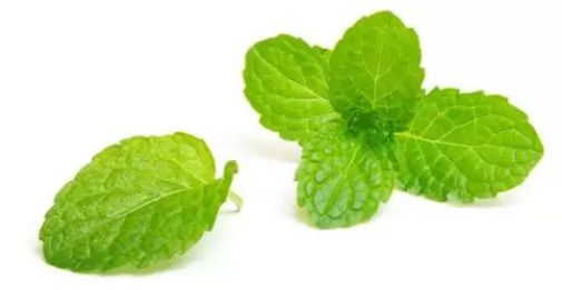 远离尴尬！日本超火爆天然止汗消臭石，小红书2000多人种草！