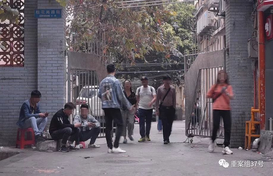 閴村埆鍋噂ucci,褰撳亣gucci閬囧埌姝ｅ搧