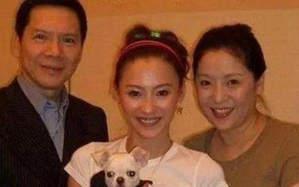 向华强回忆33年婚姻,向华强和李连杰关系