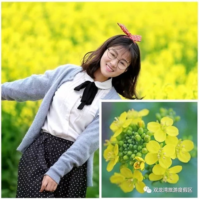 春暖花开醉美齐山,春暖花开醉美花海