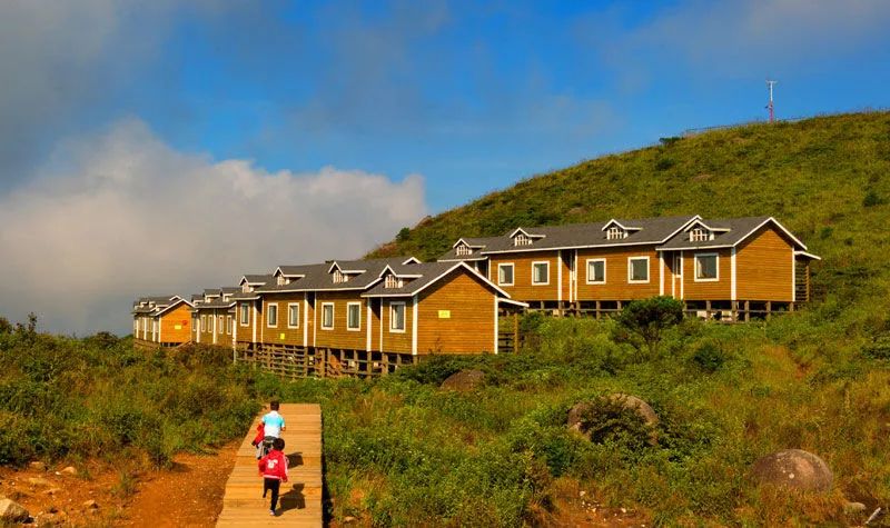 福建树屋酒店推荐,福建特点树屋民宿度假屋特点