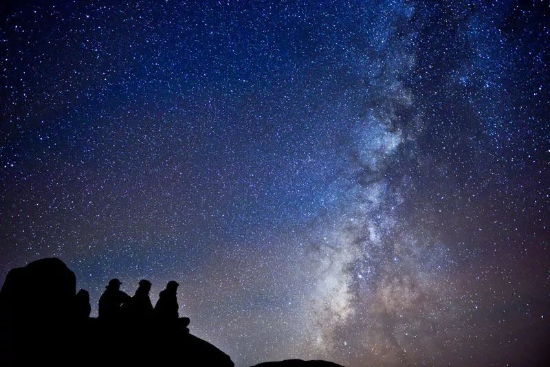 福建树屋酒店推荐,福建特点树屋民宿度假屋特点