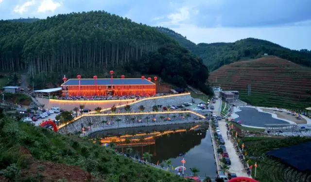 福建树屋酒店推荐,福建特点树屋民宿度假屋特点