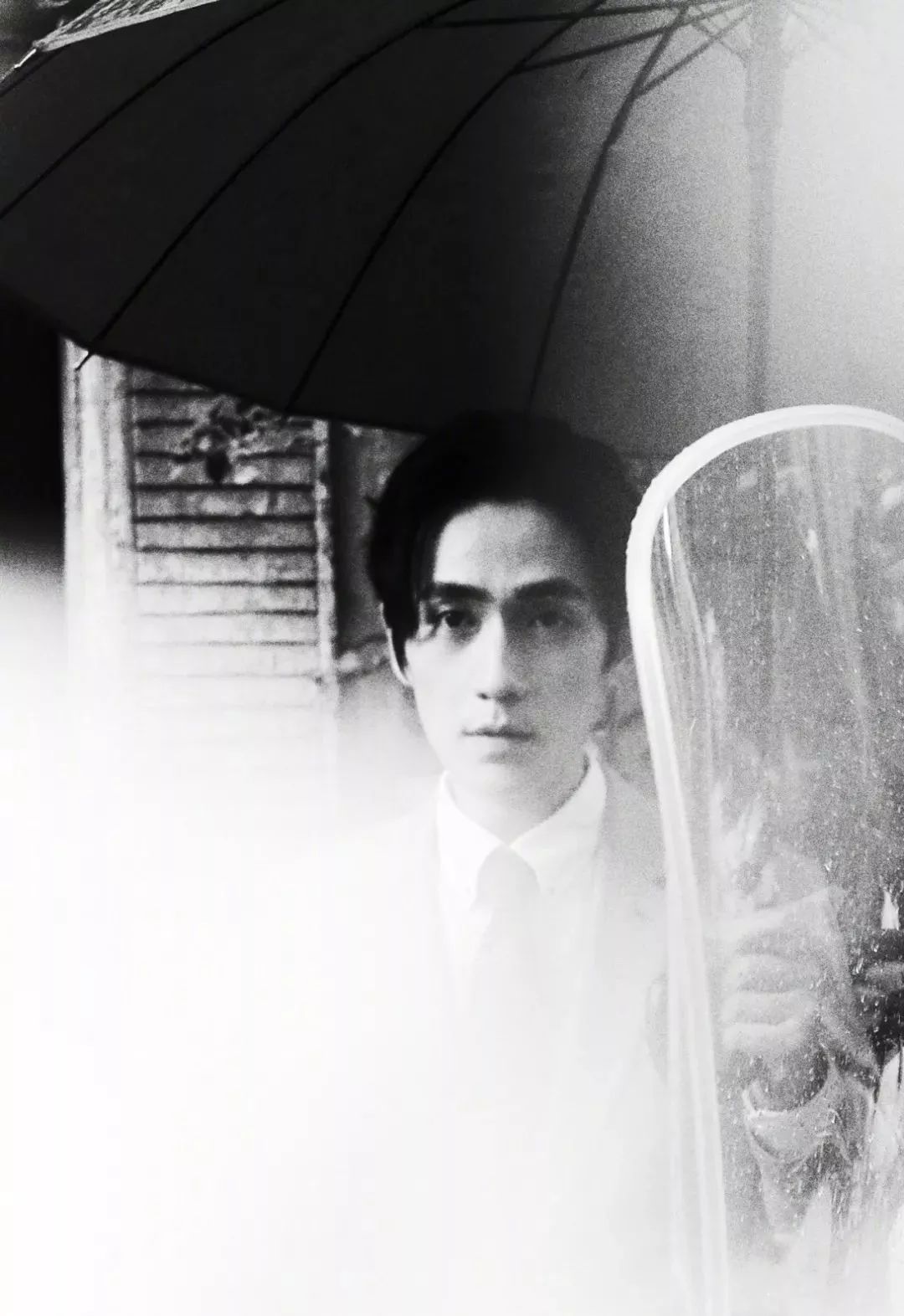 吉星高照朱一龙,朱一龙鸿运当头榜