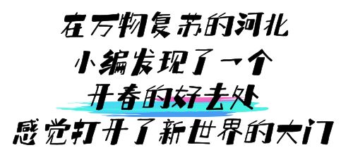 衡水汗蒸温泉儿童乐园自助餐,衡水汗蒸带儿童乐园