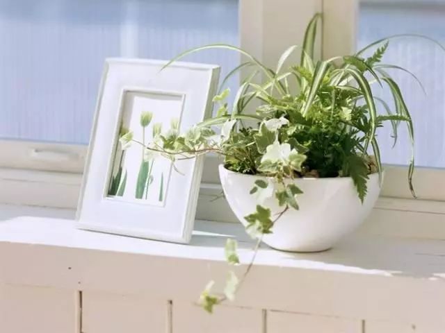 荐读人到中年怎肯虚度春秋,待人接物的处世之道句句精辟