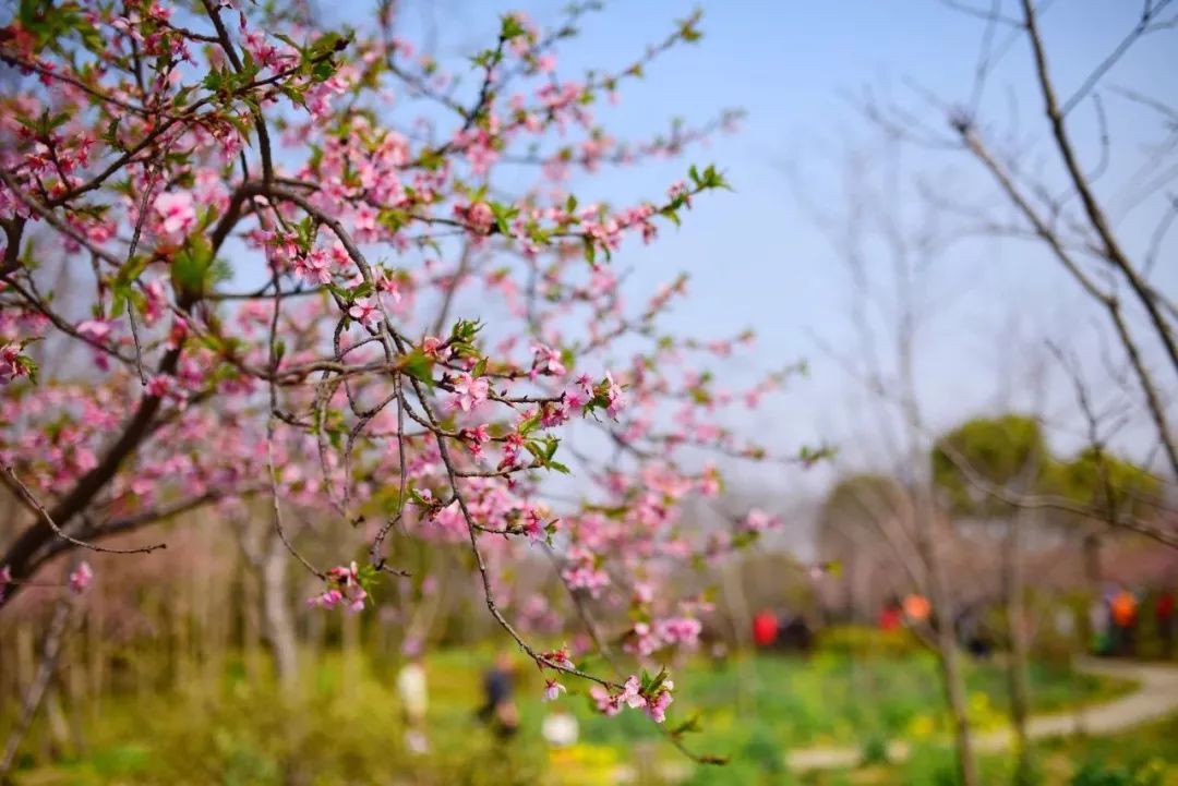 吵翻了！魔都16区终于正面PK！哪个是你心中的C位担当？