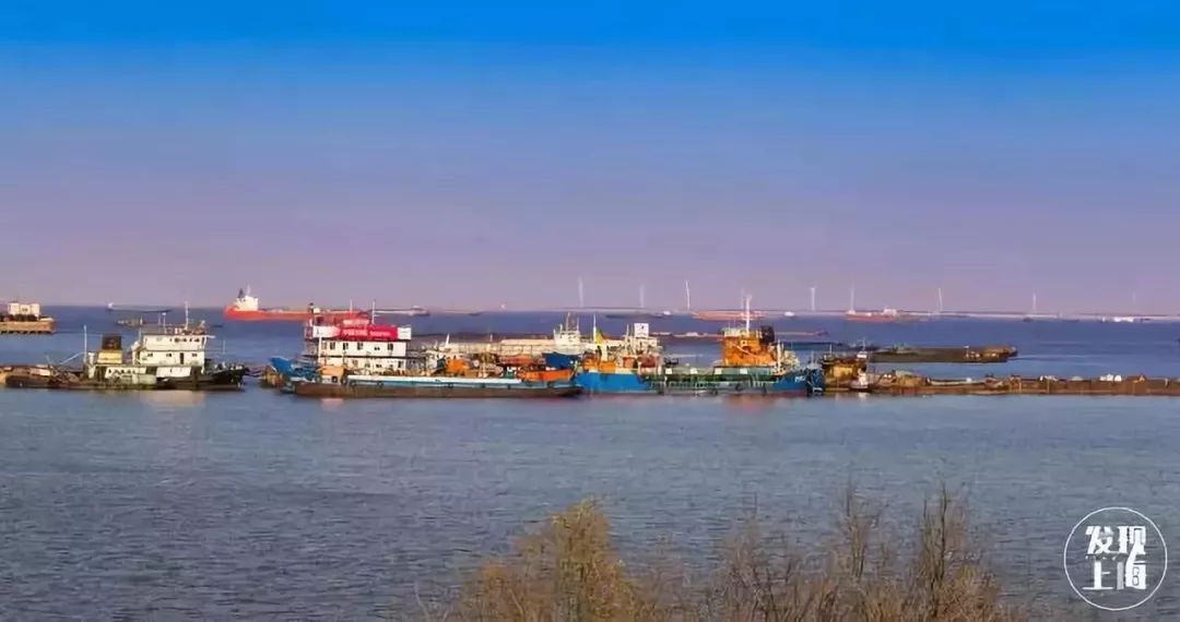 吵翻了！魔都16区终于正面PK！哪个是你心中的C位担当？