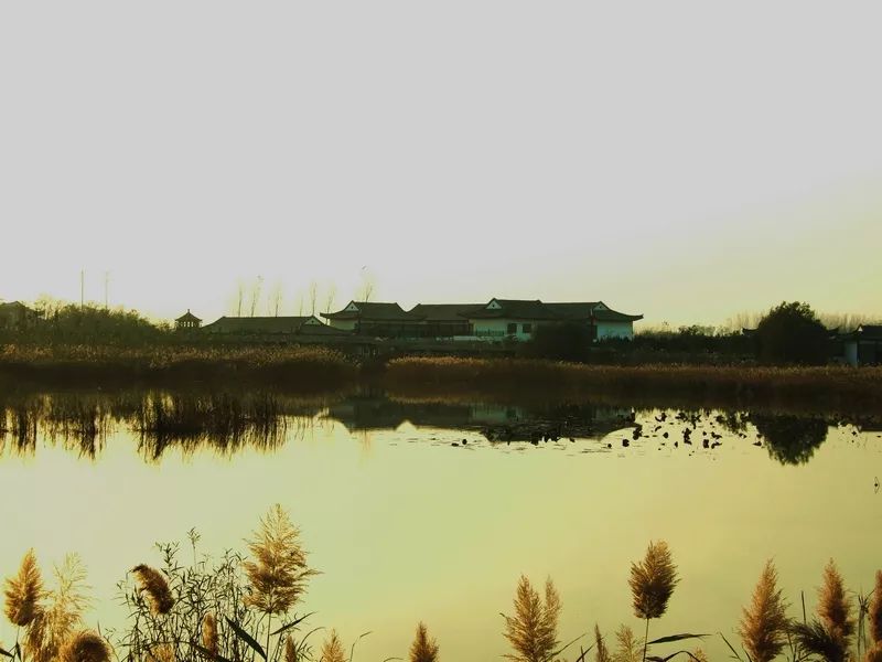 郑州周边适合野炊的地方,郑州野炊烧烤最好去处