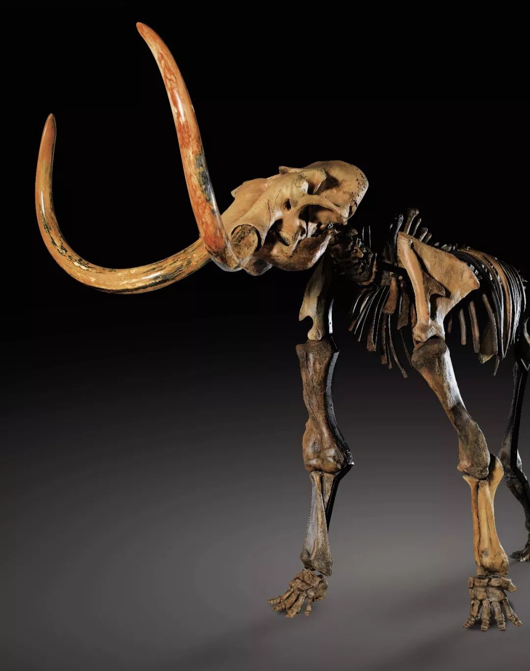 苏富比香港春拍,香港苏富比瓷器2022春拍