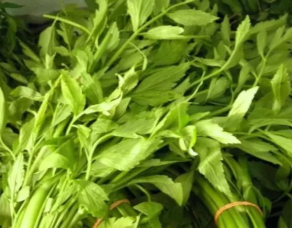 吃了街边买的“青菜”，一家三口急送医！这些菜清明常出没…