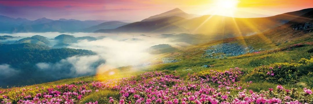 西安旅游景区直通车推出春节优惠,西安免费景点直通车