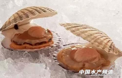 各种海鲜哪些部位不能吃,海鲜哪些人不可以吃