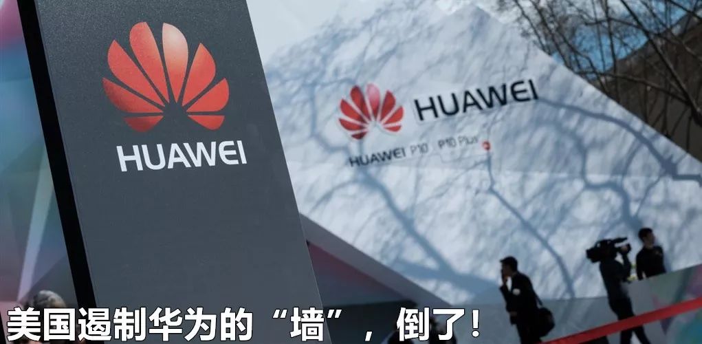 果然，一群“*独台**吉娃娃”