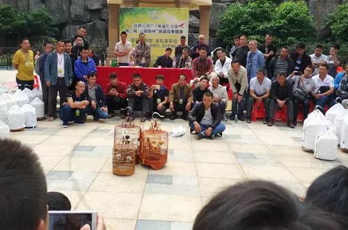 【嘿撩撩啰】壮族三月三，梧州等你撩！