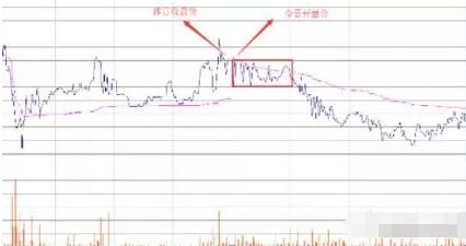 盘口语言解密顶级版,盘口语言的经典技巧