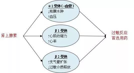 造影剂过敏最有效的针剂,造影剂过敏反应的分级与治疗