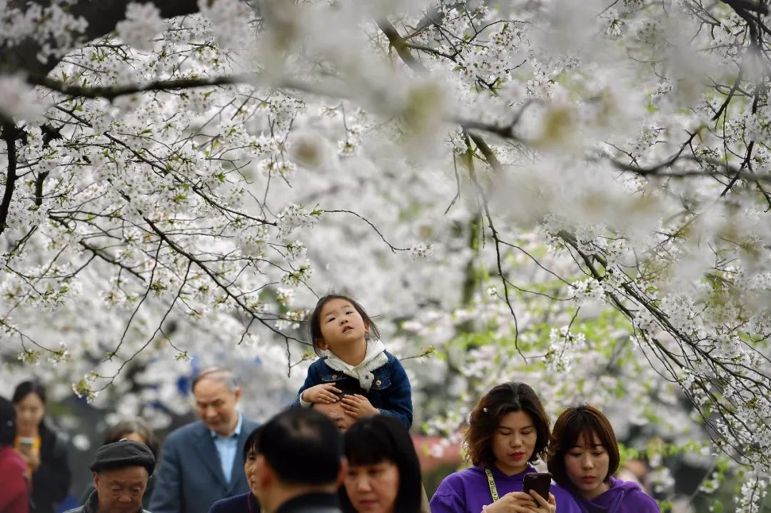 恐怖！穿双新鞋去踏青，几天后脚趾溃烂，差点要截肢！原因竟是...