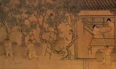 嫘祖缫丝的故事简短,嫘祖养蚕缫丝是真实的故事吗