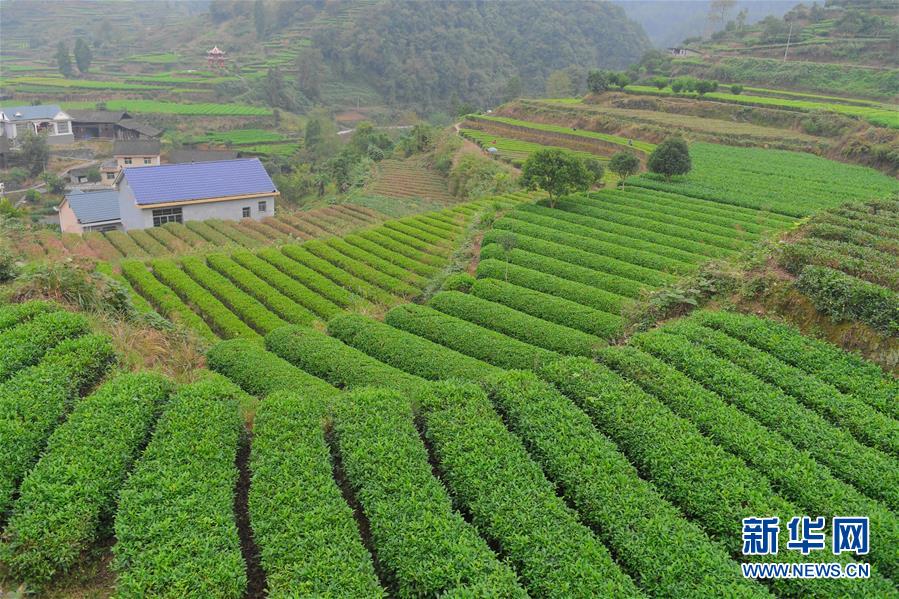 湘西脱贫攻坚乡村振兴,湘西州精准扶贫重要指示