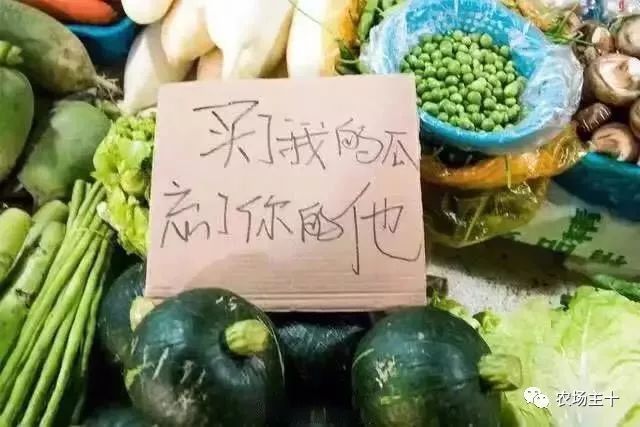 市场虽差但热销的爆款文案,为了卖产品也真是拼了的文案