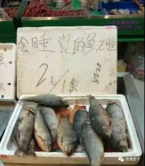 市场虽差但热销的爆款文案,为了卖产品也真是拼了的文案