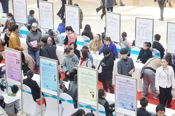 哈尔滨国企年薪排名,哈尔滨专科国企招聘