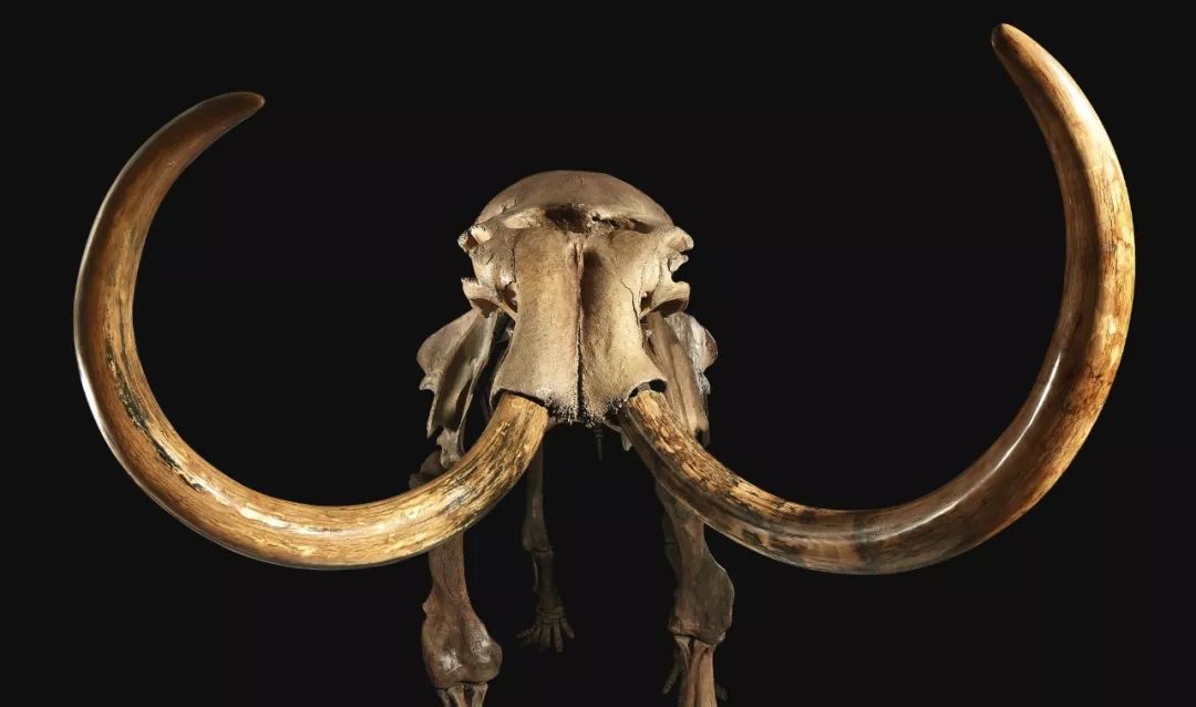 蘇富比香港：人间异珍高清巨献