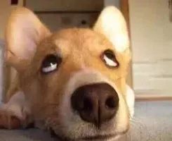 绿色无毒健康人生禁毒主题,垃圾分类和禁毒知识主题手抄报