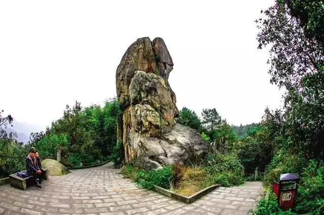 “重马”来啦！在沙坪坝的春天里应这样度过