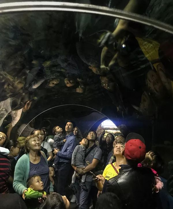 纳扎尔巴耶夫突然隐退的真相与隐忧——哈国行记审思录｜文化纵横