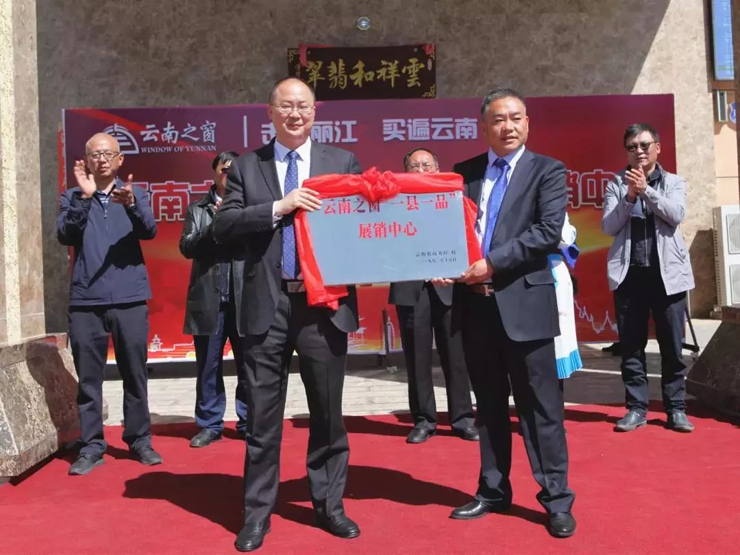 丽江儿童足球比赛,云南丽江小学生足球比赛