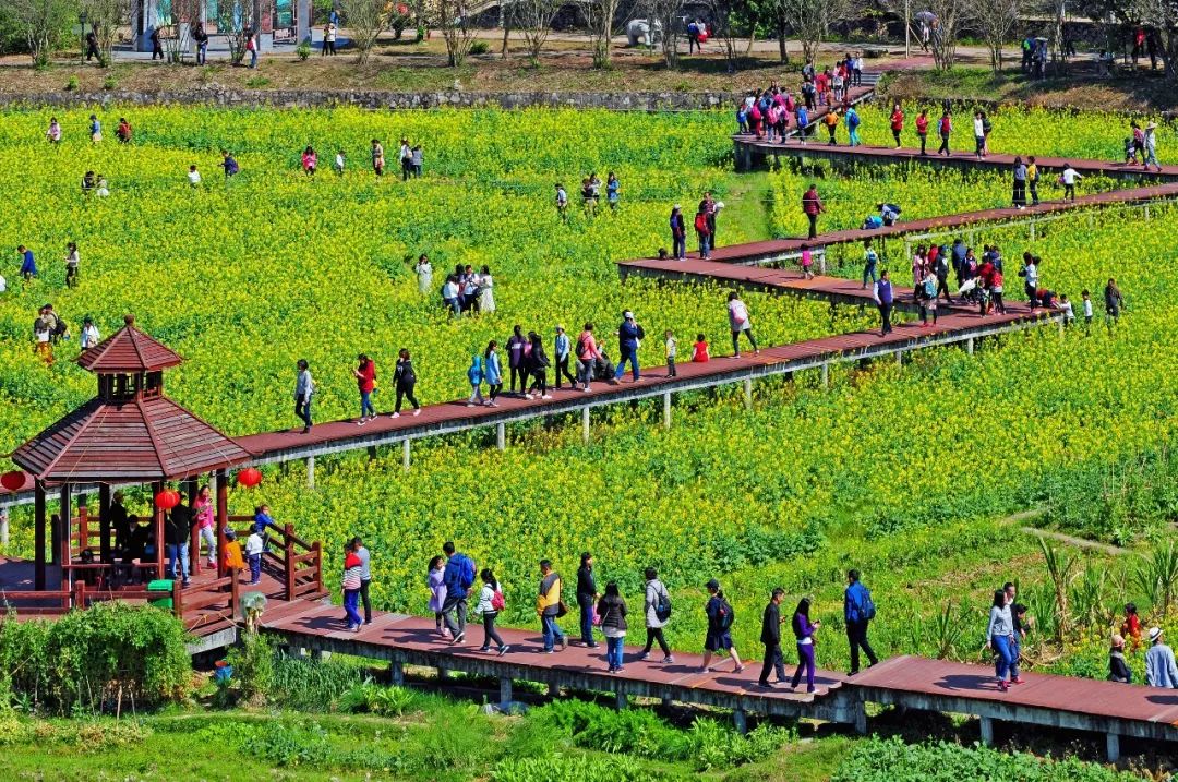 权威发布|这样的花都，太上头了！